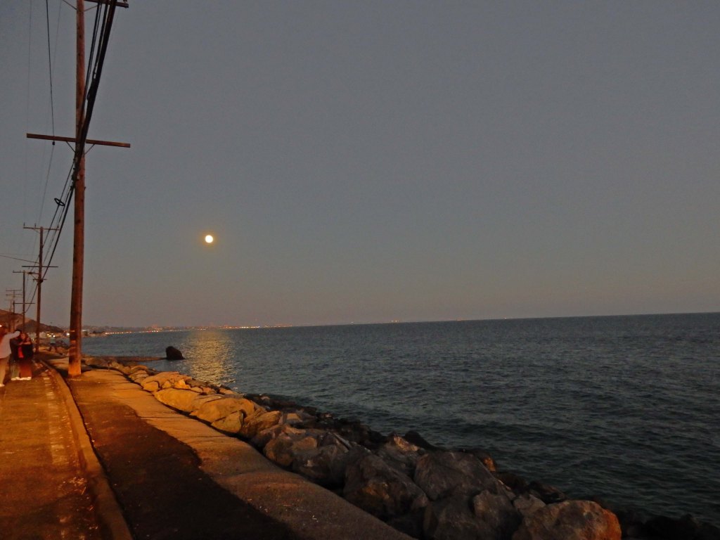 moonlight