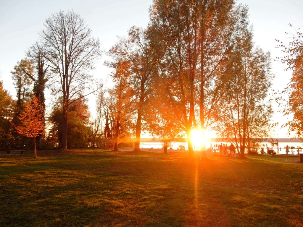 Sunset_golden_hour