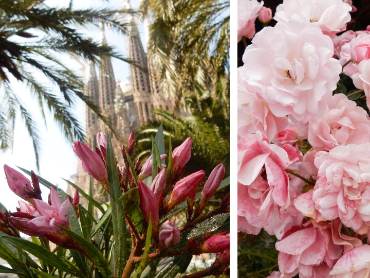 Barcelona_Sagrada_Familia