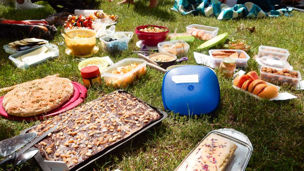 vegan picknick Bonn