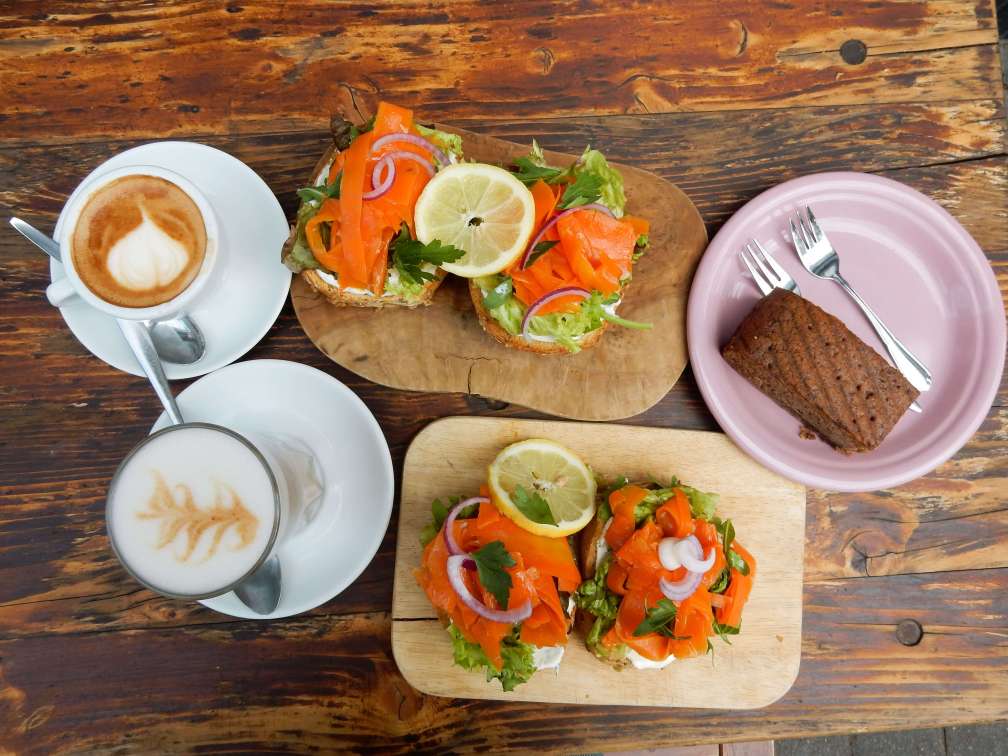 Rotkehlchen veganer lachs